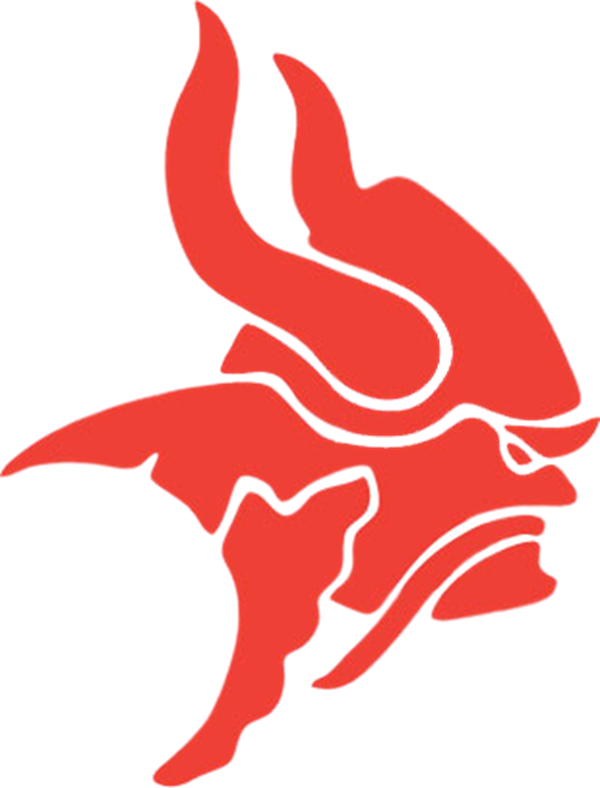 Tuggeranong Vikings Logo