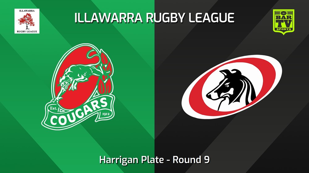 240630-video-Illawarra Round 9 - Harrigan Plate - Corrimal Cougars v Collegians Slate Image