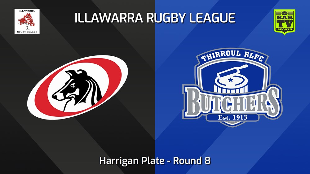 240615-video-Illawarra Round 8 - Harrigan Plate - Collegians v Thirroul Butchers Slate Image