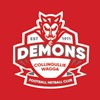 Collingullie Wagga Demons Logo