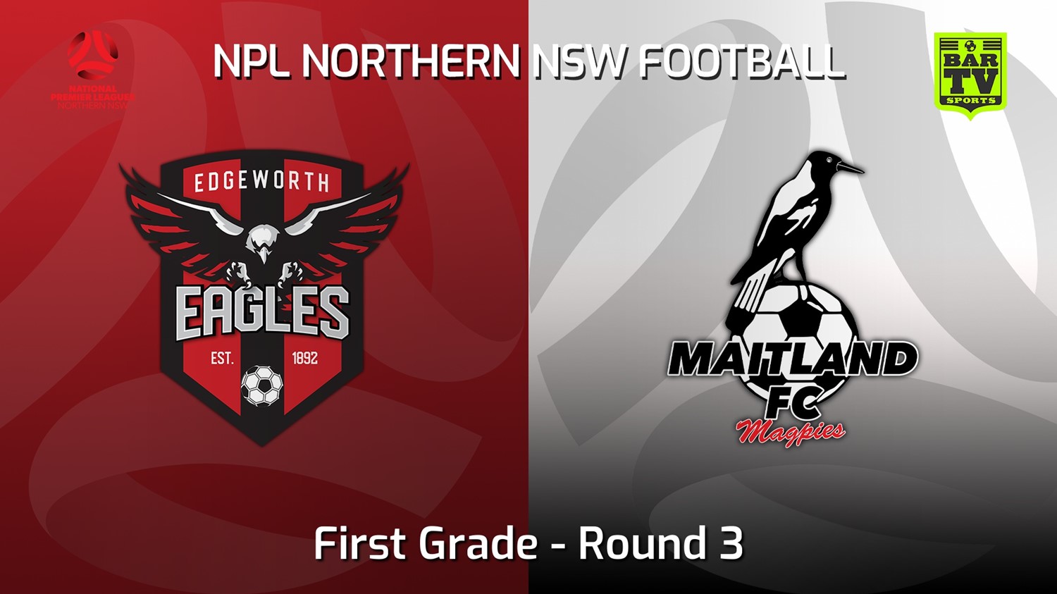 220319-NNSW NPL Round 3 - Edgeworth Eagles FC v Maitland FC Minigame Slate Image