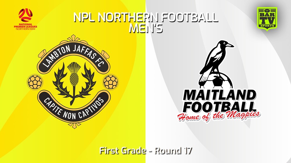240629-video-NNSW NPLM Round 17 - Lambton Jaffas FC v Maitland FC Slate Image