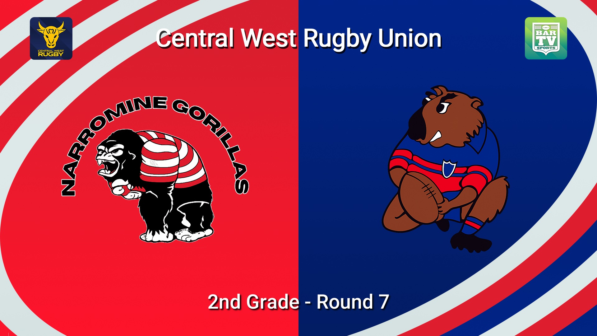 260530-video-Central West Rugby Round 7 - 2nd Grade - Narromine Gorillas v Mudgee Wombats Slate Image