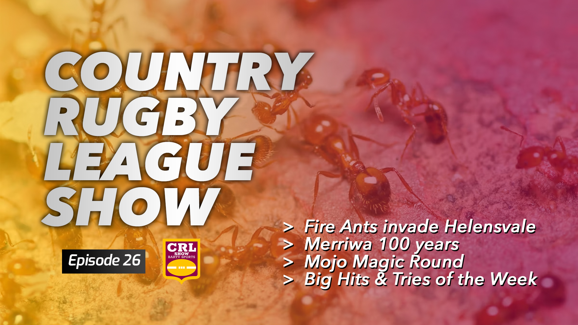 Country Rugby League Show - Episode 26 Article Image