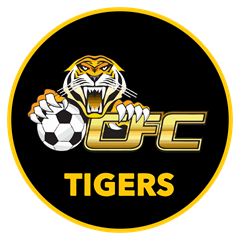 NPL Youth - Capital Round 17 - Gungahlin United FC U20 v Tigers FC U20 ...