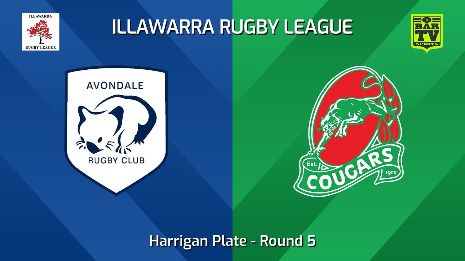 240518-video-Illawarra Round 5 - Harrigan Plate - Avondale Wombats v Corrimal Cougars Slate Image
