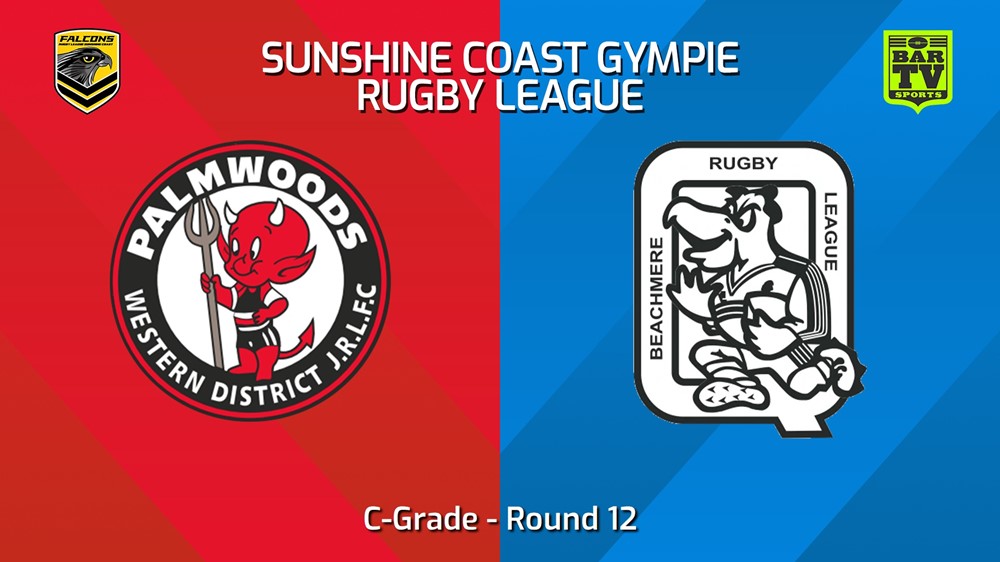 240629-video-Sunshine Coast RL Round 12 - C-Grade - Palmwoods Devils v Beachmere Pelicans Slate Image