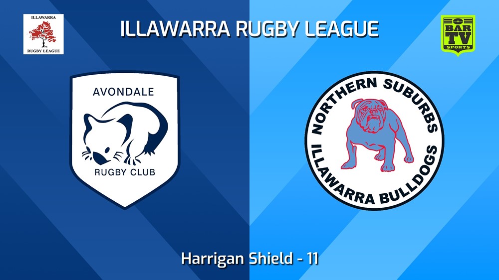 240629-video-Illawarra 11 - Harrigan Shield - Avondale Wombats v Northern Suburbs Bulldogs Slate Image