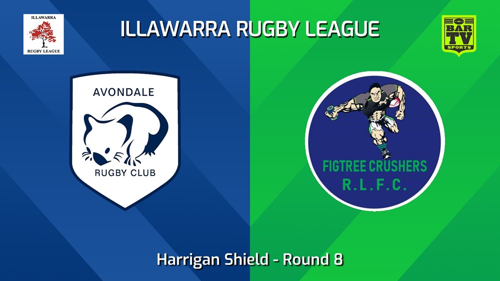 240615-video-Illawarra Round 8 - Harrigan Shield - Avondale Wombats v Figtree Crushers Slate Image