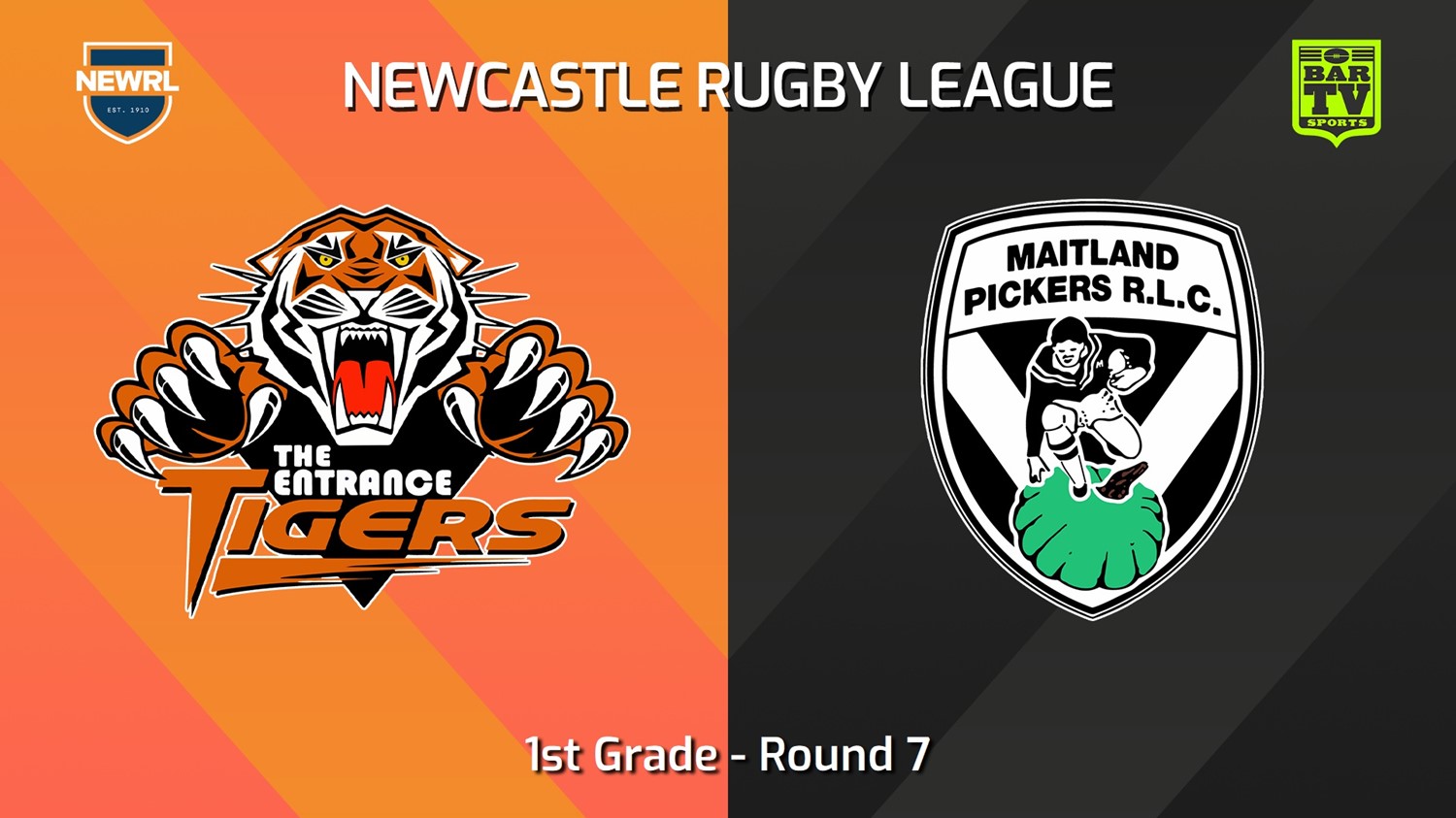 240604-video-Newcastle RL Round 7 - 1st Grade - The Entrance Tigers v Maitland Pickers Slate Image