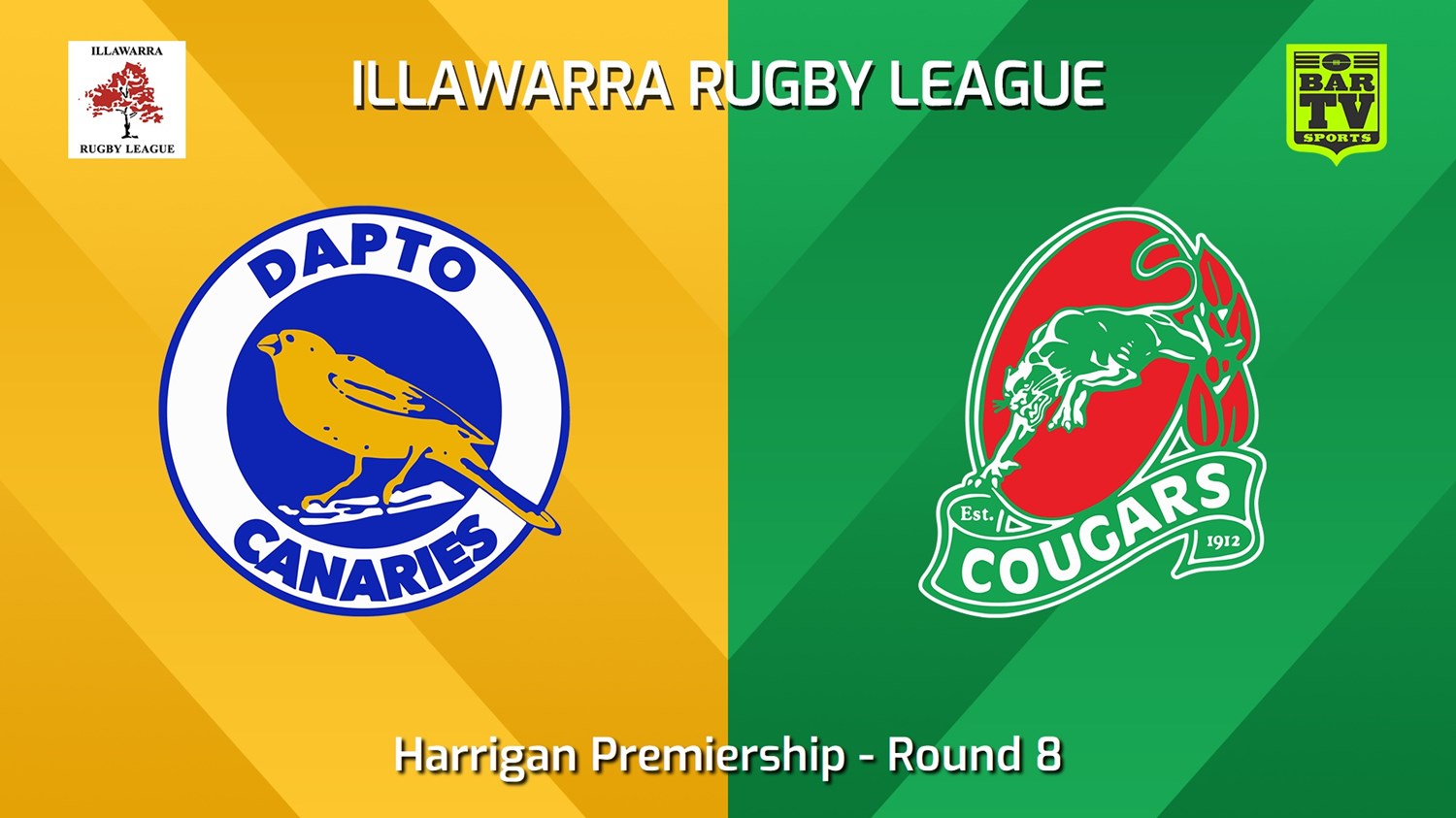 240615-video-Illawarra Round 8 - Harrigan Premiership - Dapto Canaries v Corrimal Cougars Slate Image