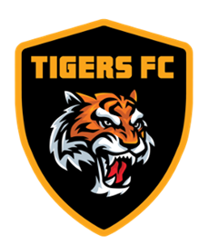 Capital NPL U23 Round 6 - Tuggeranong United U23 v Tigers FC U23 live ...