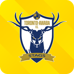 Toronto Awaba Stags Logo