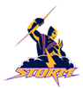 VIC STORM Logo
