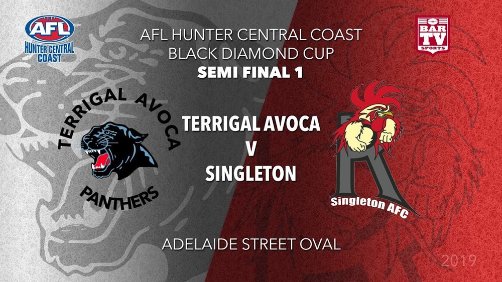 AFL HCC SEMI FINAL 1 - Cup - Terrigal Avoca Panthers v Singleton Roosters Slate Image
