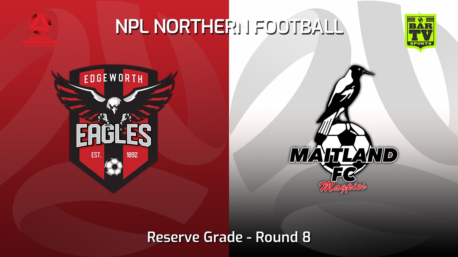230423-NNSW NPLM Res Round 8 - Edgeworth Eagles Res v Maitland FC Res Minigame Slate Image